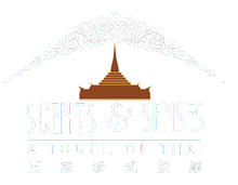 VYV Wellness Retreat Sdn Bhd
